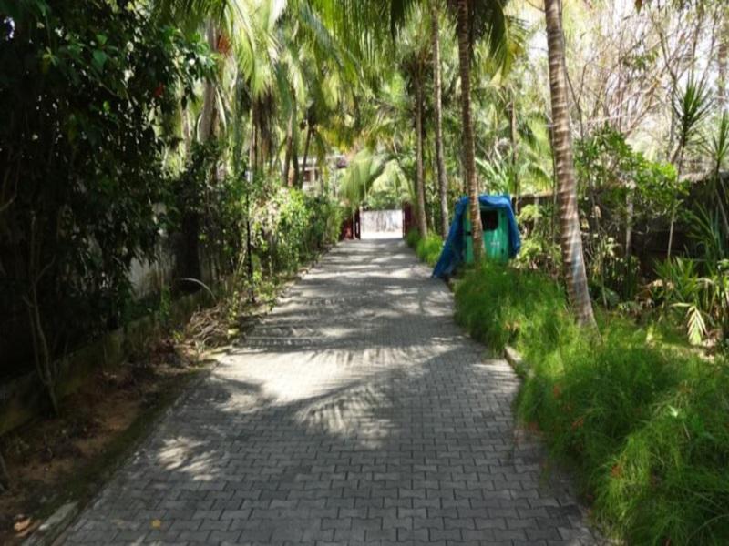 Wild Palms On Sea Hotel Kazhakuttam Luaran gambar